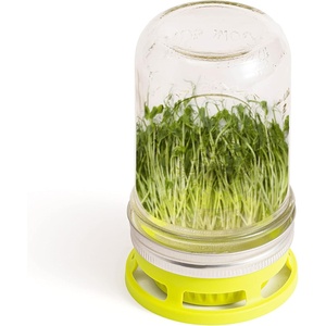 image:imageJarware Oil Cruet Lid for Regular Mouth Mason Jars OrangeSeed Sprouter