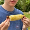 image:imageOutset Shark Corn HolderPiglet and Daschund