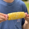 image:imageOutset Shark Corn HolderPiglet and Daschund