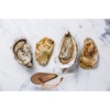 image:imageOutset Oyster Shucking Set Includes Oyster Knife and Leather Hand Guard
